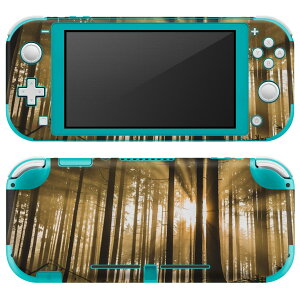 igsticker Nintendo Switch Lite p fUCXLV[ S jeh[ XCb` Cg p Q[@ Jo[ ANZT[ tB XebJ[ GAt[ 018321 X ʐ^