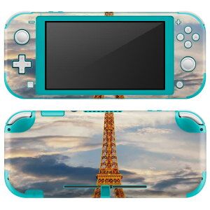 igsticker Nintendo Switch Lite p fUCXLV[ S jeh[ XCb` Cg p Q[@ Jo[ ANZT[ tB XebJ[ GAt[ 018324 ʐ^ GbtF p