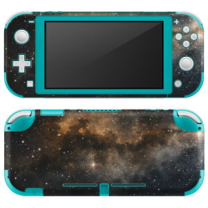 igsticker Nintendo Switch Lite p fUCXLV[ S jeh[ XCb` Cg p Q[@ Jo[ ANZT[ tB XebJ[ GAt[ 018335 F ʐ^