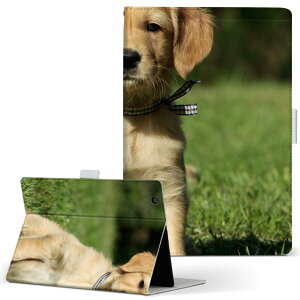 Wi-Fi FAR70B FUJITSU xm ARROWS Tab A[Y^u wififar70b LTCY 蒠^ ^ubgP[X Jo[ U[ tbv _CA[ ܂ v Aj} @@ʐ^ 002580