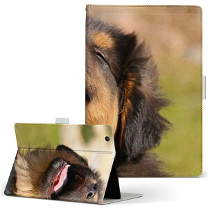 dtab d-52c p ^ubgP[X docomo hR MTCY 蒠^ ^ubgP[X Jo[ S@ΉL U[ tbv _CA[ ܂ v ^ y 022861 @@ʐ^