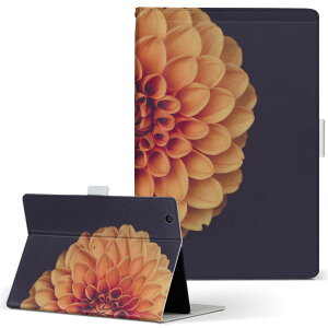 fUC ^ubgP[X 蒠^ ^ubg Jo[ U[ tbv _CA[ ܂ v 022891 ԁ@ʐ^