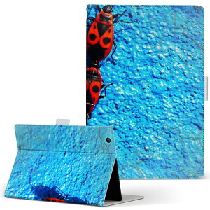 fUC ^ubgP[X 蒠^ ^ubg Jo[ U[ tbv _CA[ ܂ v 022991 @@ʐ^