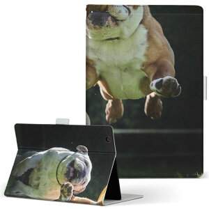 dtab d-52c p ^ubgP[X docomo hR MTCY 蒠^ ^ubgP[X Jo[ S@ΉL U[ tbv _CA[ ܂ v ^ y 023041 @@ʐ^