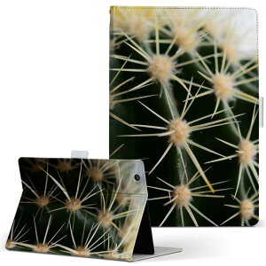 dtab d-52c p ^ubgP[X docomo hR MTCY 蒠^ ^ubgP[X Jo[ S@ΉL U[ tbv _CA[ ܂ v ^ y 023055 T{e@ʐ^