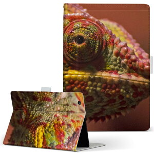 Fire HD 8 p ^ubg P[X Fire HD 8 (8E2018N[X) MTCY 蒠^ ^ubgP[X Jo[ U[ tbv _CA[ ܂ v 023101 COAi@ʐ^@Jt