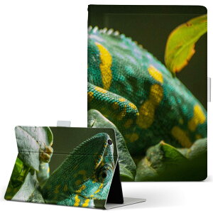 Fire HD 8 p ^ubg P[X Fire HD 8 (8E2018N[X) MTCY 蒠^ ^ubgP[X Jo[ U[ tbv _CA[ ܂ v 023102 COAi@ʐ^@