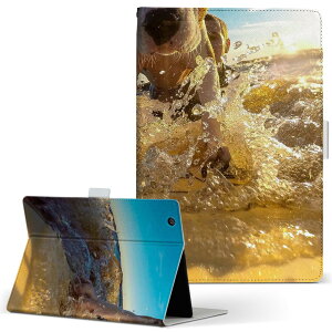 dtab d-52c p ^ubgP[X docomo hR MTCY 蒠^ ^ubgP[X Jo[ S@ΉL U[ tbv _CA[ ܂ v ^ y 023217 @T[tB@C@ʐ^