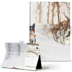 fUC ^ubgP[X 蒠^ ^ubg Jo[ U[ tbv _CA[ ܂ v 023218 @ʐ^@