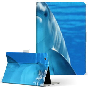 fUC ^ubgP[X 蒠^ ^ubg Jo[ U[ tbv _CA[ ܂ v 023228 CJ@@ʐ^