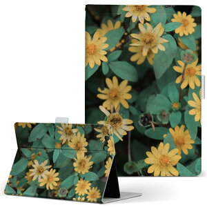 Fire HD 10 p ^ubg P[X FireHD10 (7E2017N[X) LTCY 蒠^ ^ubgP[X Jo[ U[ tbv _CA[ ܂ v 023366 ԁ@t[@iF@ʐ^