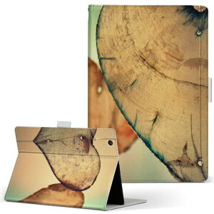 dtab d-52c p ^ubgP[X docomo hR MTCY 蒠^ ^ubgP[X Jo[ S@ΉL U[ tbv _CA[ ܂ v ^ y 023426 n[g@ʐ^