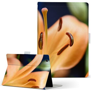 dtab d-52c p ^ubgP[X docomo hR MTCY 蒠^ ^ubgP[X Jo[ S@ΉL U[ tbv _CA[ ܂ v ^ y 023523 ԁ@t[@ʐ^