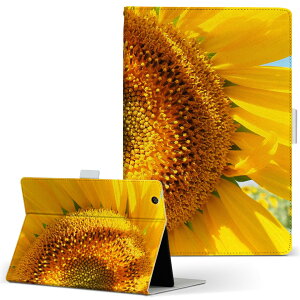 dtab d-52c p ^ubgP[X docomo hR MTCY 蒠^ ^ubgP[X Jo[ S@ΉL U[ tbv _CA[ ܂ v ^ y 023849 ԁ@t[@Ђ܂