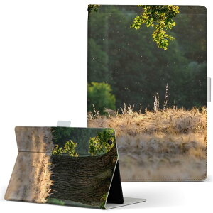 T2 7.0 SIM Huawei �p �^�u���b�g �P�[�X MediaPad T2 7.0 ���f�B�A�p�b�h Pro S�T�C�Y �蒠�^ �^�u���b�g�P�[�X �J�o�[ ���U�[ �t���b�v �_�C�A���[ ��܂� �v 023907 ���R�@�ʐ^�@�i�F