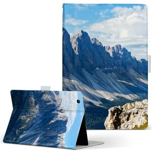 dtab d-52c p ^ubgP[X docomo hR MTCY 蒠^ ^ubgP[X Jo[ S@ΉL U[ tbv _CA[ ܂ v ^ y 023935 R@iF@ʐ^