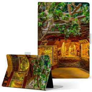 Fire HD 10 ��p �^�u���b�g �P�[�X FireHD10 (��7����E2017�N�����[�X) L�T�C�Y �蒠�^ �^�u���b�g�P�[�X �J�o�[ ���U�[ �t���b�v �_�C�A���[ ��܂� �v 025634 �؁@�΁@�ʐ^