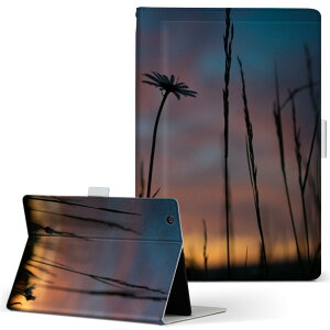 dtab d-51c p ^ubgP[X docomo hR LTCY 蒠^ ^ubgP[X Jo[ }Olbg U[ tbv _CA[ ܂ v ^ y 025684 i@R@