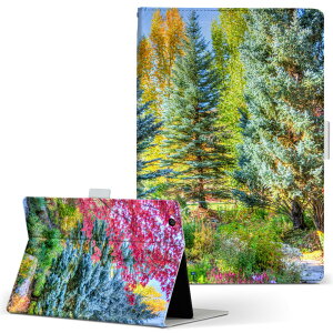 dtab d-51c �p �^�u���b�g�P�[�X docomo �h�R�� L�T�C�Y �蒠�^ �^�u���b�g�P�[�X �J�o�[ �}�O�l�b�g�� ���U�[ �t���b�v �_�C�A���[ ��܂� �v ���^ �y�� 025811 �i�F�@�؁@���R