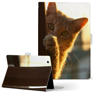 Fire HD 10 ��p �^�u���b�g �P�[�X FireHD10 (��7����E2017�N�����[�X) L�T�C�Y �蒠�^ �^�u���b�g�P�[�X �J�o�[ ���U�[ �t���b�v �_�C�A���[ ��܂� �v 025821 �����@�l�R�@�t��