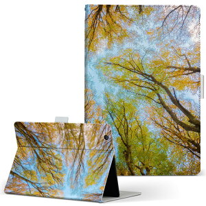 dtab d-51c p ^ubgP[X docomo hR LTCY 蒠^ ^ubgP[X Jo[ }Olbg U[ tbv _CA[ ܂ v ^ y 025927 Xс@؁@R