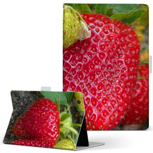 Fire HD 10 p ^ubg P[X FireHD10 (7E2017N[X) LTCY 蒠^ ^ubgP[X Jo[ U[ tbv _CA[ ܂ v 026024 t[c@ʕ@