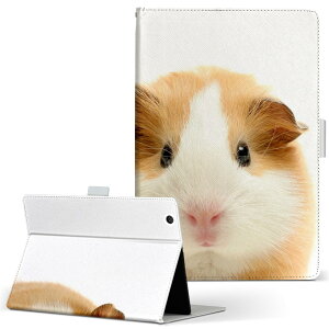 Fire HD 10 p ^ubg P[X FireHD10 (7E2017N[X) LTCY 蒠^ ^ubgP[X Jo[ U[ tbv _CA[ ܂ v 006036 ʐ^@@nX^[