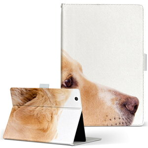 MSITab S100 MSI ^u s100 LLTCY 蒠^ ^ubgP[X Jo[ U[ tbv _CA[ ܂ v ʐ^@@ ʐ^Ei 006630