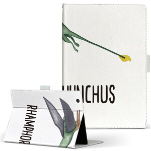 dtab Compact d-02K fB[^uRpNg D02K MTCY 蒠^ ^ubgP[X Jo[ U[ tbv _CA[ ܂ v 019825  Rhamphorhynchus tHNX