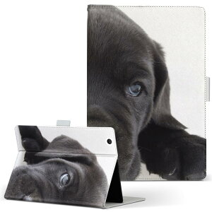 iPad Air 2 p ^ubg P[X Apple iPad ACpbh ipadair2 LTCY 蒠^ ^ubgP[X Jo[ U[ tbv _CA[ ܂ v 000127   t`uhbN _bNXtg