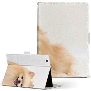 aiwa tab AB8 p ^ubg P[X JA3-TBA0801 / TBA0802 8C` MTCY 蒠^ ^ubgP[X Jo[ U[ tbv _CA[ ܂ v 002912 @@ʐ^