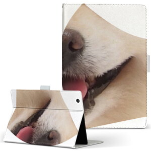 aiwa tab AB8 p ^ubg P[X JA3-TBA0801 / TBA0802 8C` MTCY 蒠^ ^ubgP[X Jo[ U[ tbv _CA[ ܂ v 020890 ʔ  