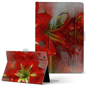 dtab Compact d-02K fB[^uRpNg D02K MTCY 蒠^ ^ubgP[X Jo[ S@ΉL U[ tbv _CA[ ܂ v 022855 ʐ^@ԁ@t[