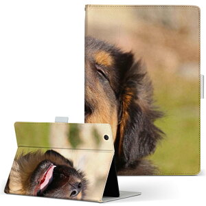 dtab Compact d-02K fB[^uRpNg D02K MTCY 蒠^ ^ubgP[X Jo[ S@ΉL U[ tbv _CA[ ܂ v 022861 @@ʐ^