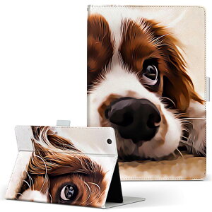 OPPO Pad Air p ^ubgP[X LTCY 蒠^ ^ubgP[X Jo[ S@ΉL U[ tbv _CA[ ܂ v 022868 @ʐ^