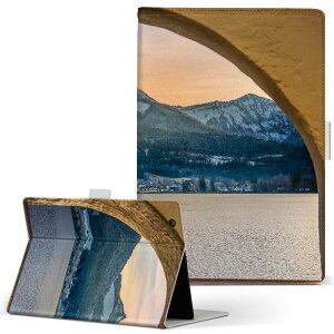 dtab d-51c p ^ubgP[X docomo hR LTCY 蒠^ ^ubgP[X Jo[ S@ΉL U[ tbv _CA[ ܂ v 022878 ʐ^@i@