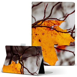 dtab Compact d-42A Lenovo docomo ドコモ Sサイズ 手帳型 タブレットケース カバー 全機種対応有り レザー フリップ ダイアリー 二つ折り 革 022909 秋 葉っぱ 紅葉