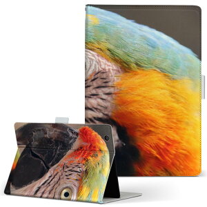 dtab Compact d-42A Lenovo docomo ドコモ Sサイズ 手帳型 タブレットケース カバー 全機種対応有り レザー フリップ ダイアリー 二つ折り 革 022983 オウム カラフル 鳥