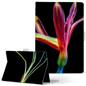 dtab Compact d-02H p ^ubg P[X Huawei t@[EFC fB[^uRpNg d02h MTCY 蒠^ ^ubgP[X Jo[ U[ tbv _CA[ ܂ v 022986 ԁ@Jt@