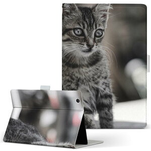 aiwa tab AB8 p ^ubg P[X JA3-TBA0801 / TBA0802 8C` MTCY 蒠^ ^ubgP[X Jo[ U[ tbv _CA[ ܂ v 023094 L@˂@@ʐ^