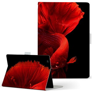 dtab Compact d-42A Lenovo docomo hR STCY 蒠^ ^ubgP[X Jo[ S@ΉL U[ tbv _CA[ ܂ v 023154 @ʐ^