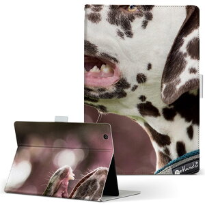 OPPO Pad Air p ^ubgP[X LTCY 蒠^ ^ubgP[X Jo[ S@ΉL U[ tbv _CA[ ܂ v 023189 @@ʐ^