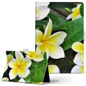 HUAWEI MatePad SE 10.4 p ^ubgP[X LTCY 蒠^ ^ubgP[X Jo[ S@ΉL U[ tbv _CA[ ܂ v 023320 ԁ@t[@vA