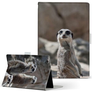 Lenovo Tab B10 HD (2nd Gen) p ^ubgP[X LTCY 蒠^ ^ubgP[X Jo[ S@ΉL U[ tbv _CA[ ܂ v 023560 ~[ALbg@@ʐ^