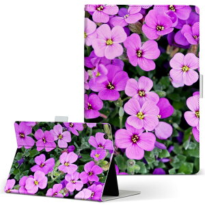 OPPO Pad Air p ^ubgP[X LTCY 蒠^ ^ubgP[X Jo[ S@ΉL U[ tbv _CA[ ܂ v 023703 ԁ@t[