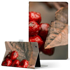 iPad mini 2 p ^ubg P[X Apple Abv iPad ACpbh ipadmini2 MTCY 蒠^ ^ubgP[X Jo[ U[ tbv _CA[ ܂ v 023715 ؂̎@ʐ^@A