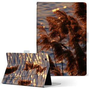 aiwa tab AB8 p ^ubg P[X JA3-TBA0801 / TBA0802 8C` MTCY 蒠^ ^ubgP[X Jo[ U[ tbv _CA[ ܂ v 023719 ppXOX@A@