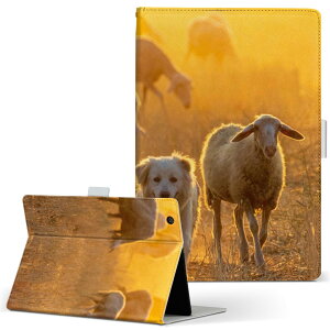 aiwa tab AB8 p ^ubg P[X JA3-TBA0801 / TBA0802 8C` MTCY 蒠^ ^ubgP[X Jo[ U[ tbv _CA[ ܂ v 023788 r@@