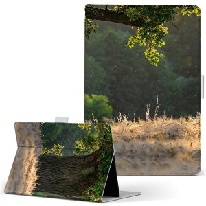 aiwa tab AB8 p ^ubg P[X JA3-TBA0801 / TBA0802 8C` MTCY 蒠^ ^ubgP[X Jo[ U[ tbv _CA[ ܂ v 023907 R@ʐ^@iF