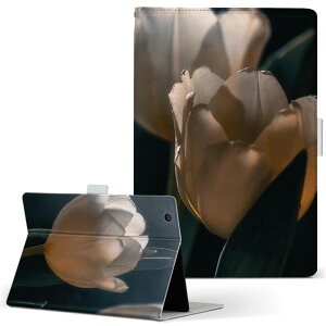 HUAWEI MatePad SE 10.4 p ^ubgP[X LTCY 蒠^ ^ubgP[X Jo[ S@ΉL U[ tbv _CA[ ܂ v 023919 ԁ@t[@`[bv